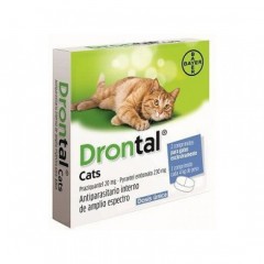 Drontal Cat