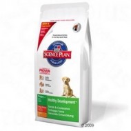Hill's Puppy Healthy Development Large Breed With Chicken 12kg